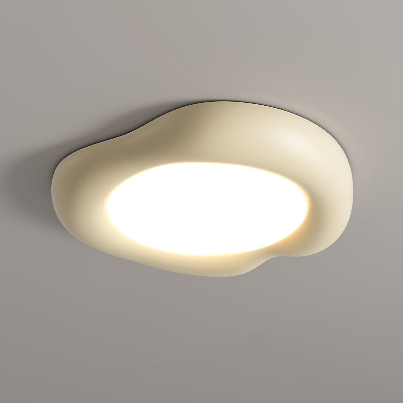 Shaped Apple Ceiling Light Ceiling Lamp
