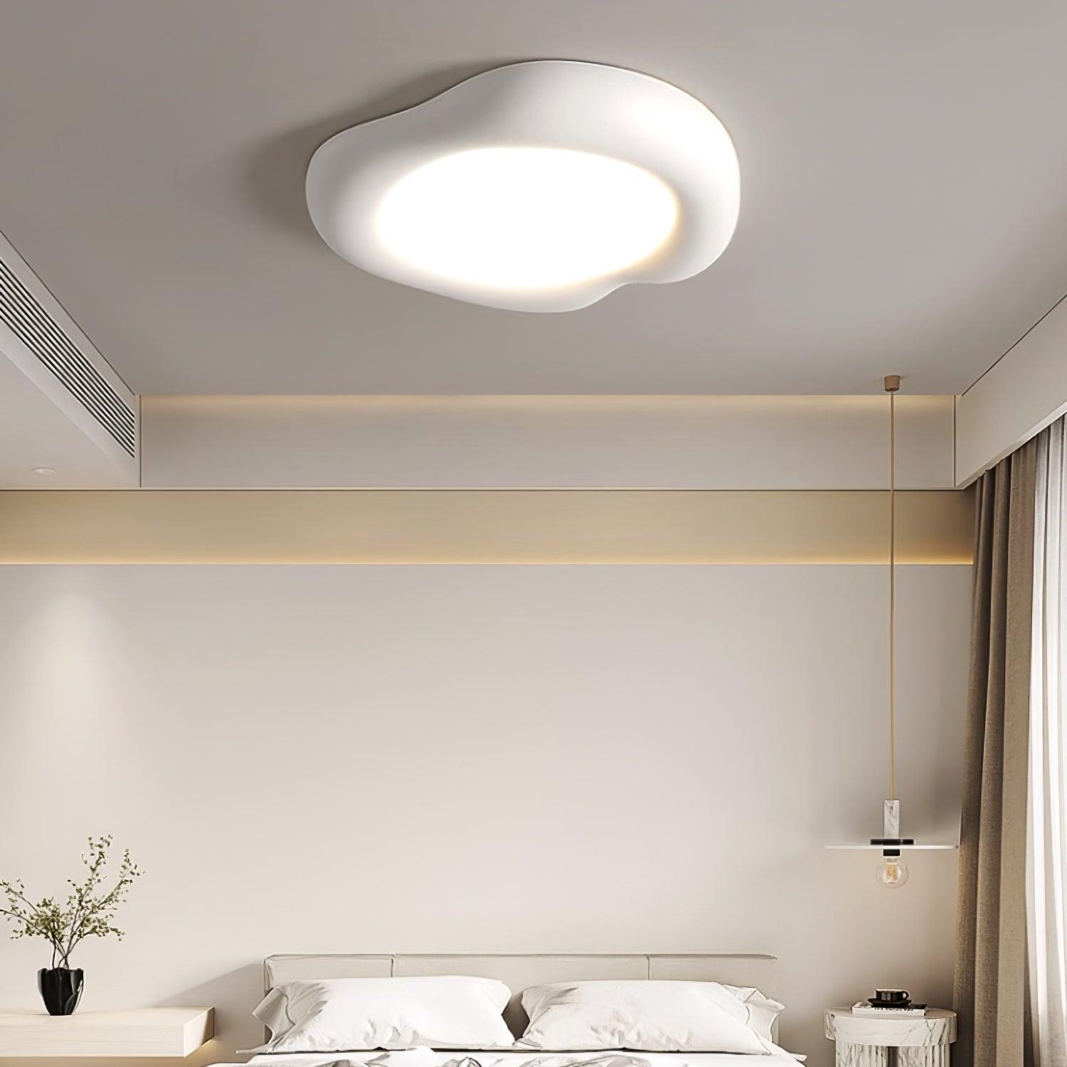 Shaped Apple Ceiling Light Ceiling Lamp