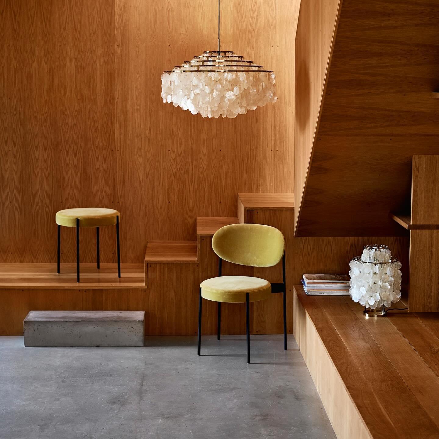 Shell Table Lamp 11.8