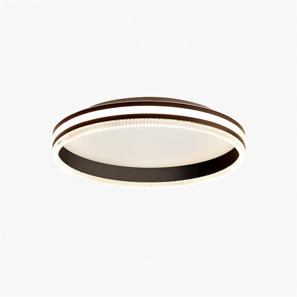 Simple Acrylic Ring Overhead Fixture Ceiling Light