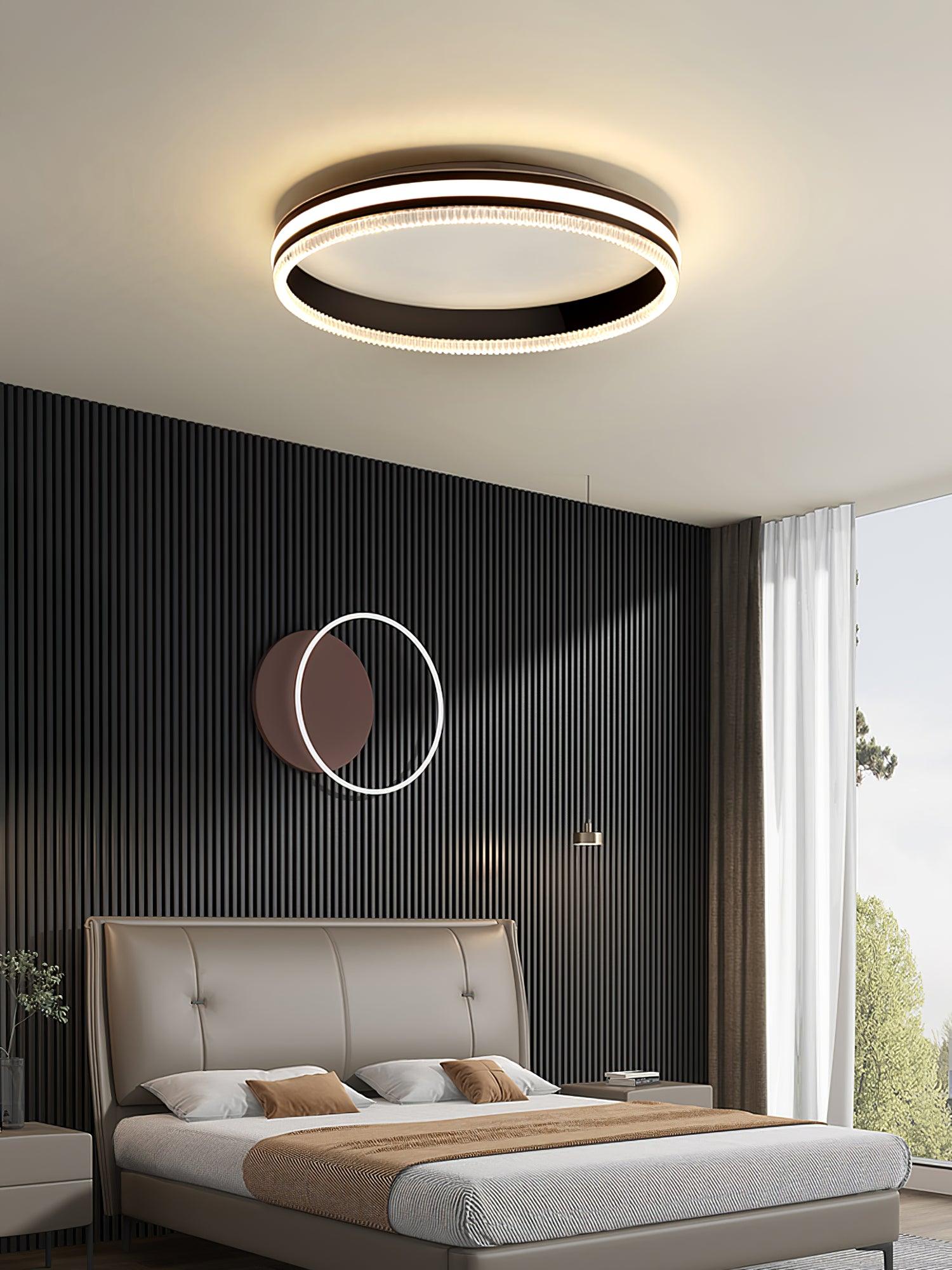 Simple Acrylic Ring Overhead Fixture Ceiling Light
