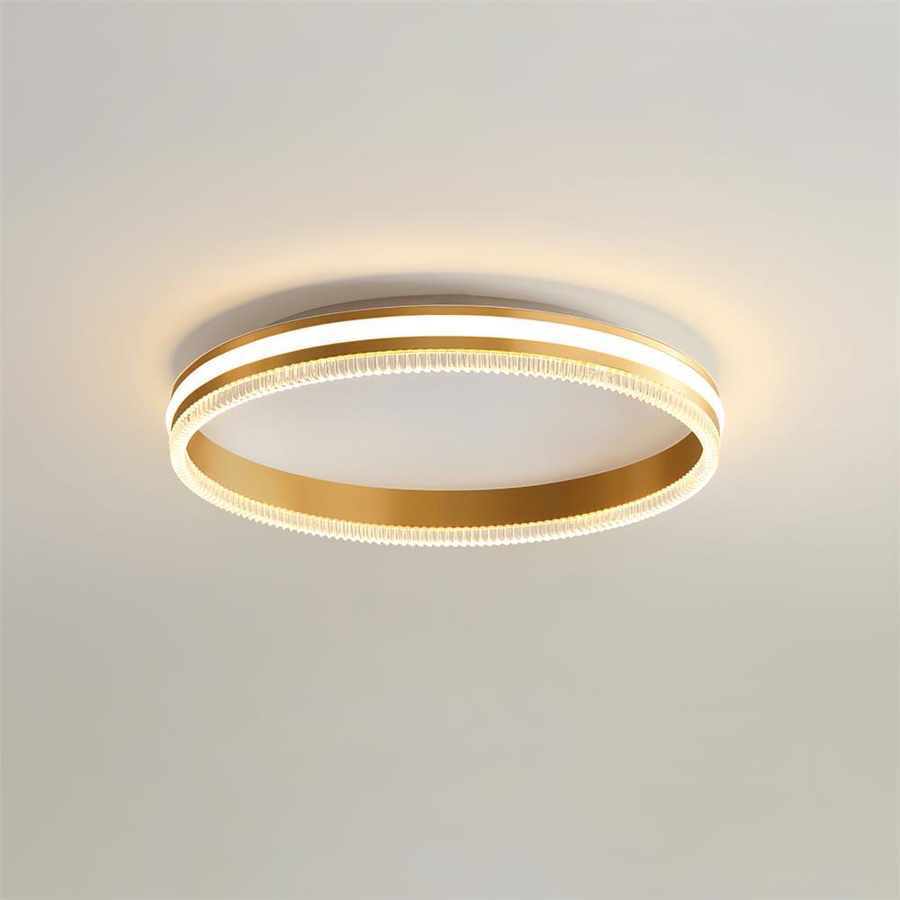 Simple Acrylic Ring Overhead Fixture Ceiling Light