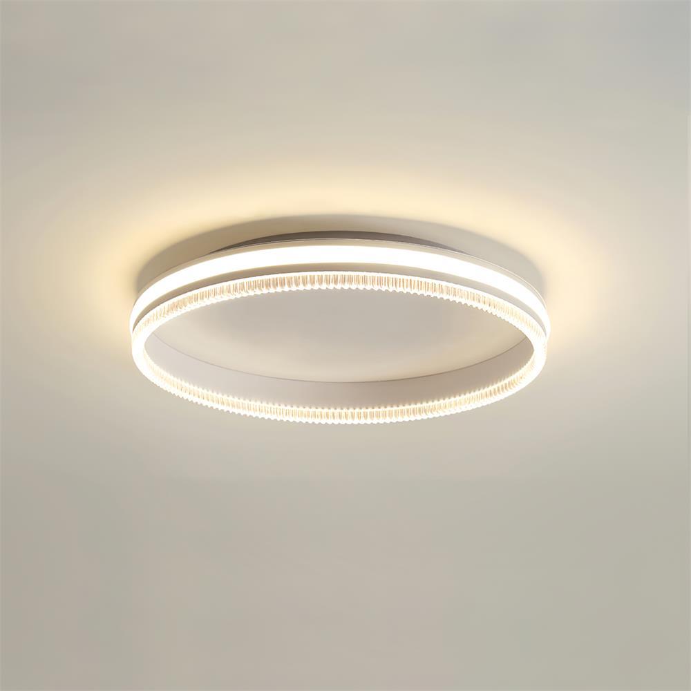 Simple Acrylic Ring Overhead Fixture Ceiling Light