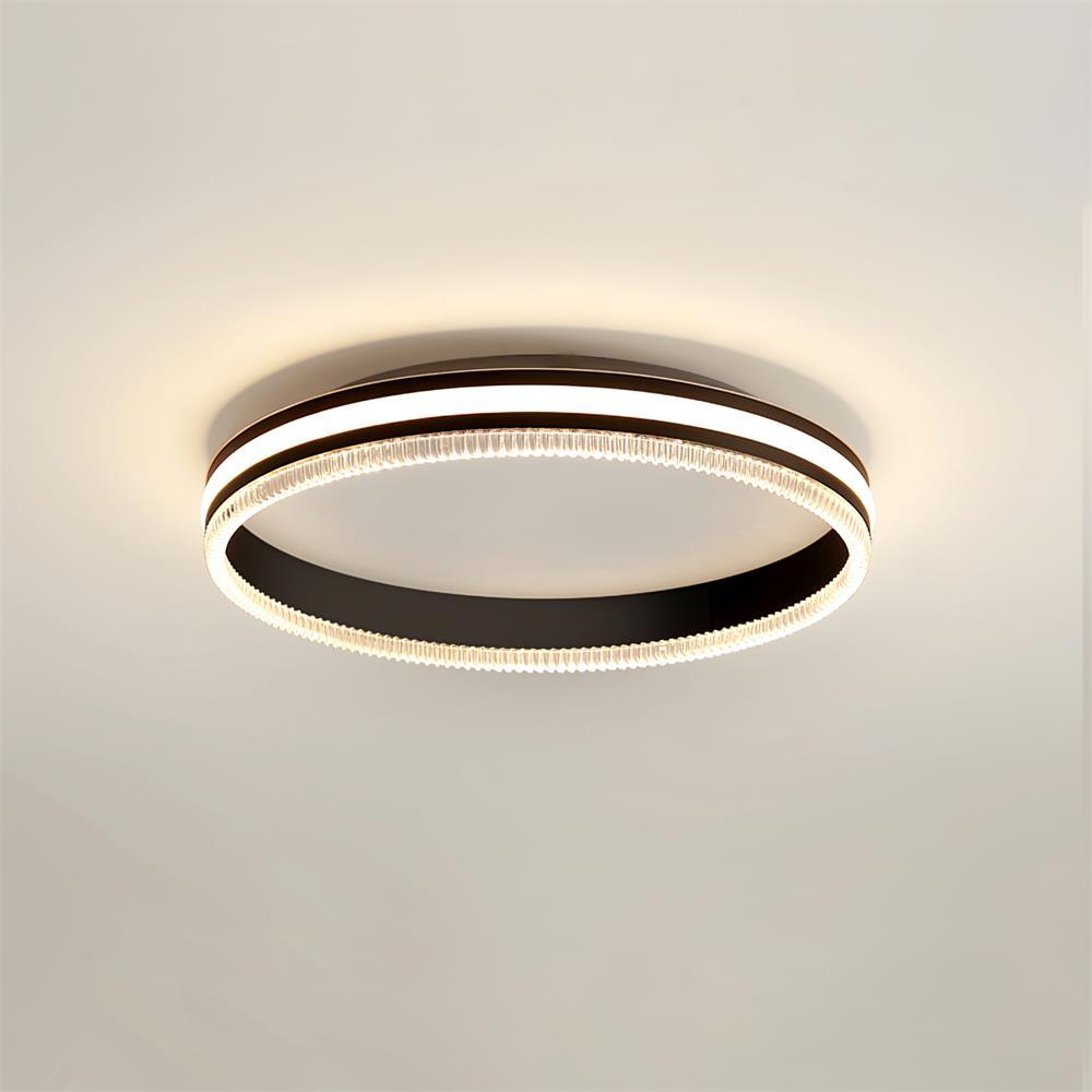 Simple Acrylic Ring Overhead Fixture Ceiling Light
