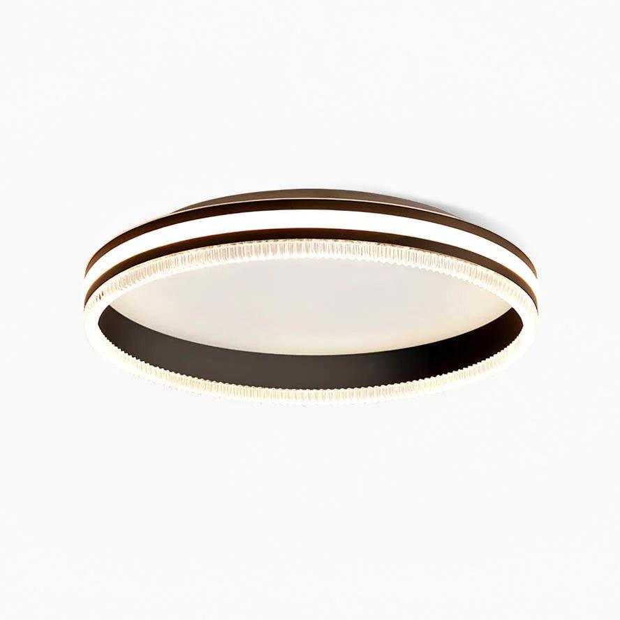 Simple Acrylic Ring Overhead Fixture Ceiling Light