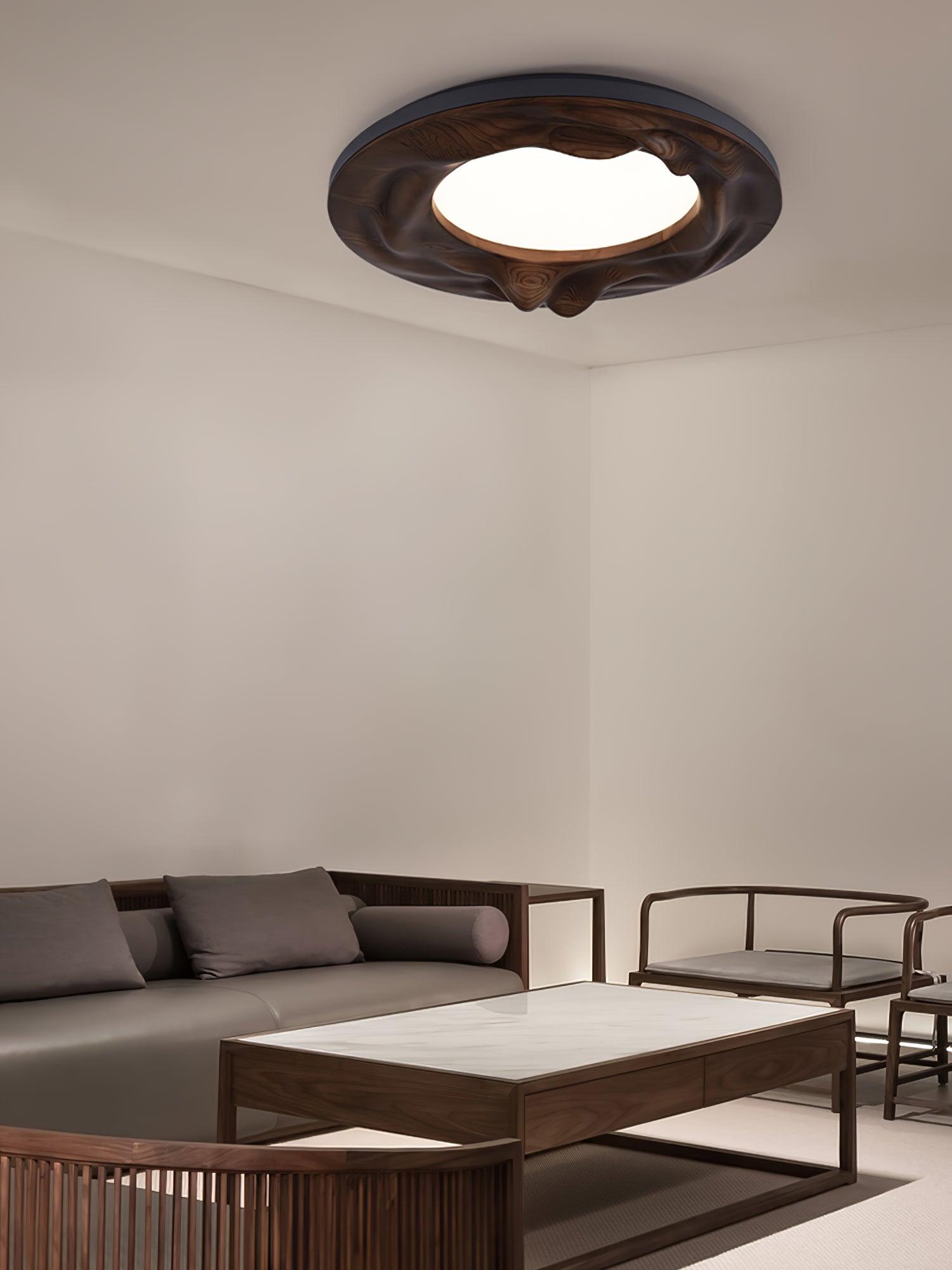Sky Lake Ceiling Lamp 23.6" — product detail 10