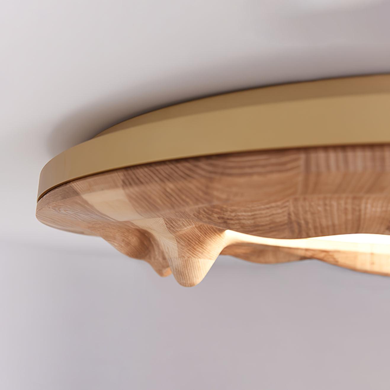 Sky Lake Ceiling Lamp 23.6" — product detail 16