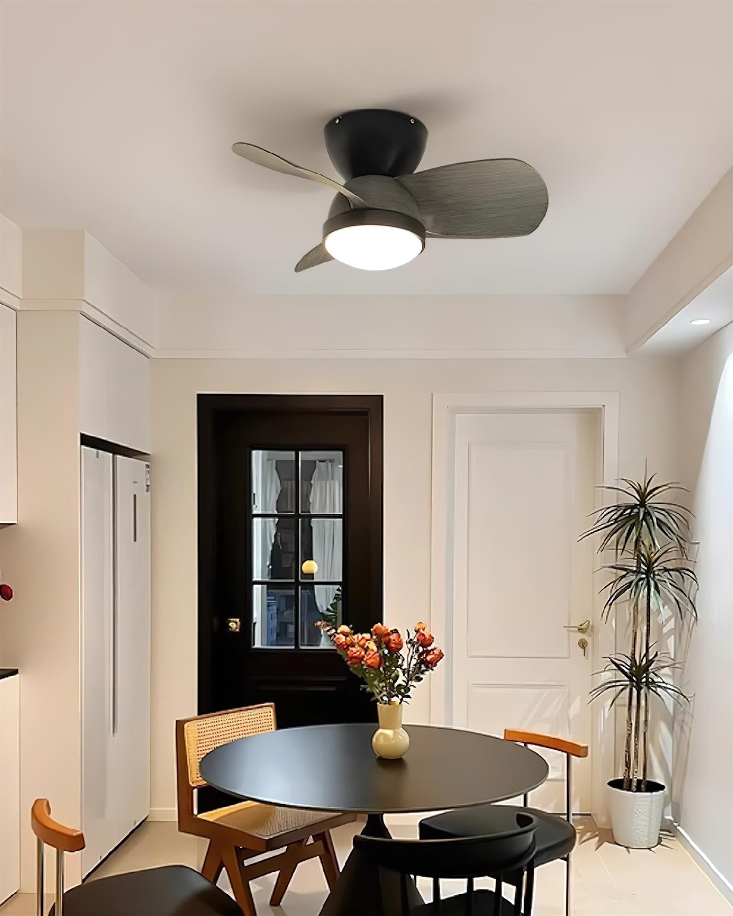 Talaya Ceiling Fan Light detail view 14