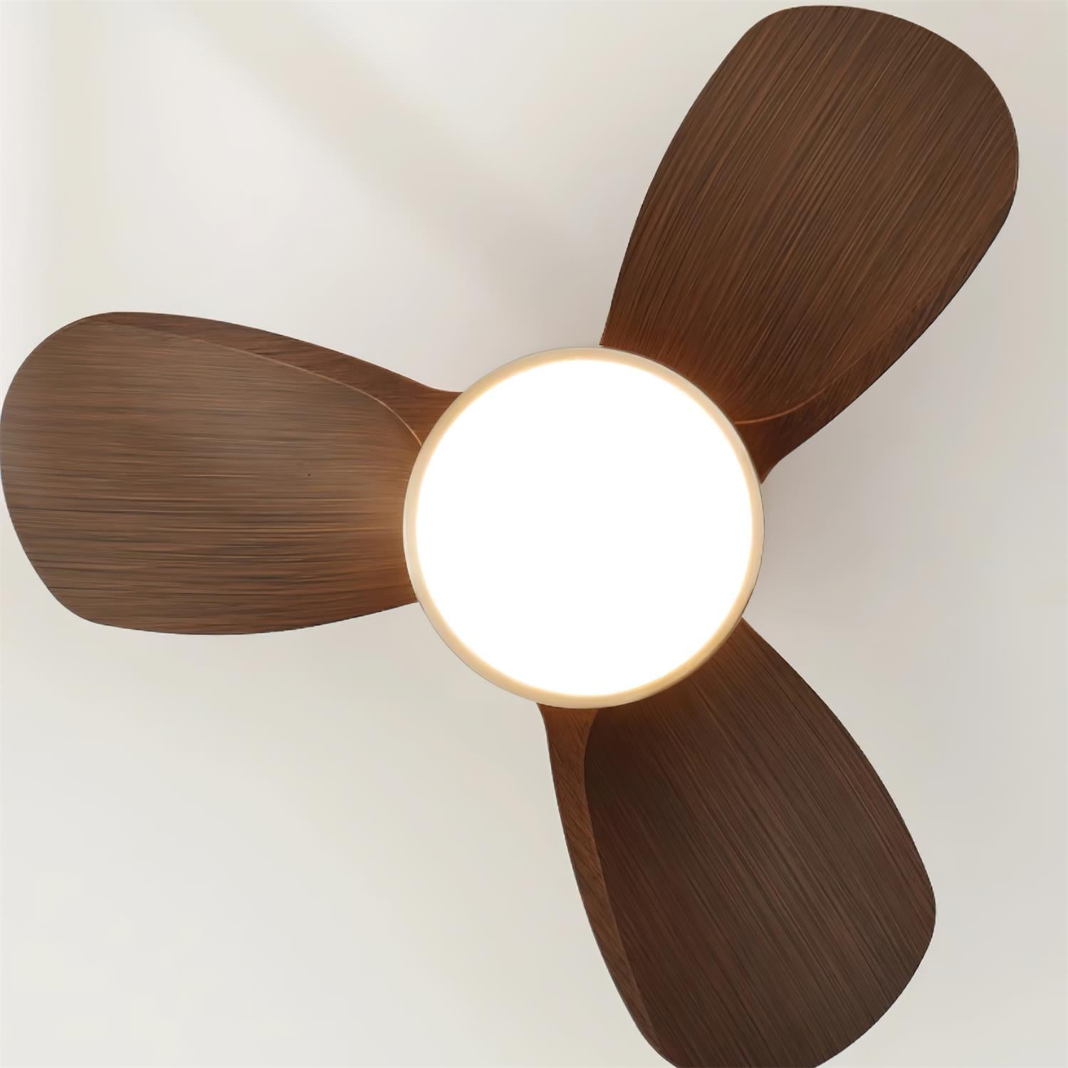 Talaya Ceiling Fan Light detail view 16