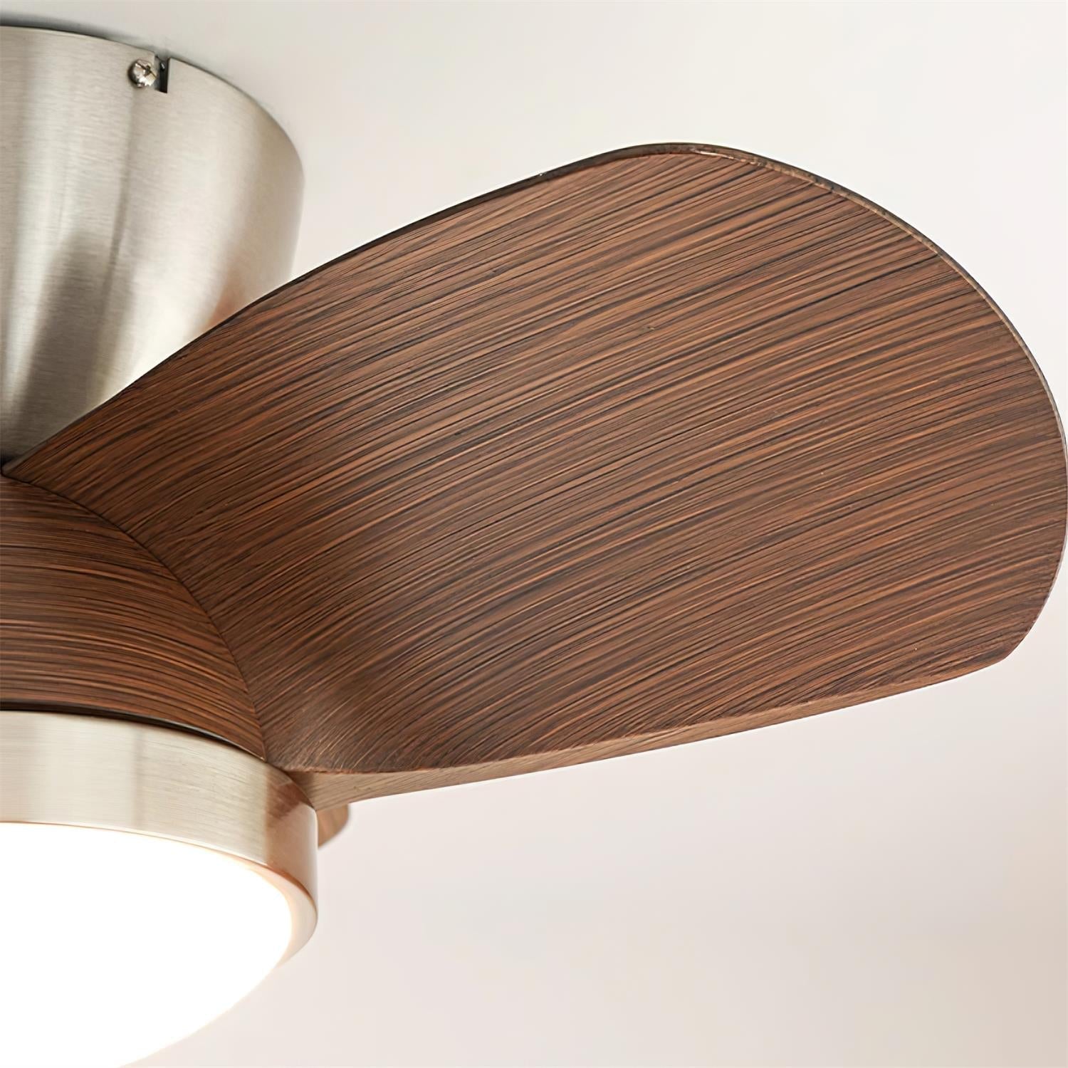 Talaya Ceiling Fan Light detail view 19