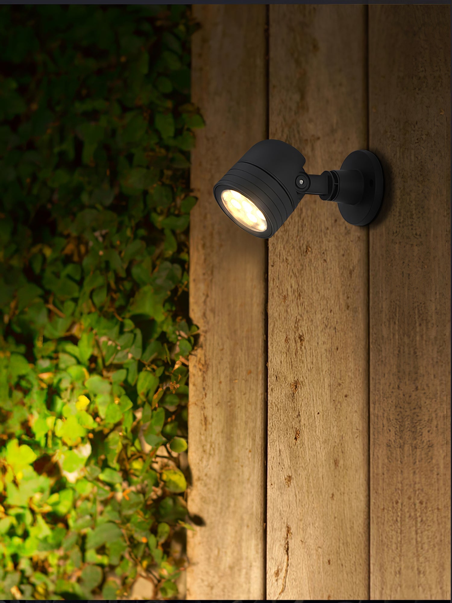 Terra Focus Exterior Spot Light, Outdoor Wall Light, detail 11
