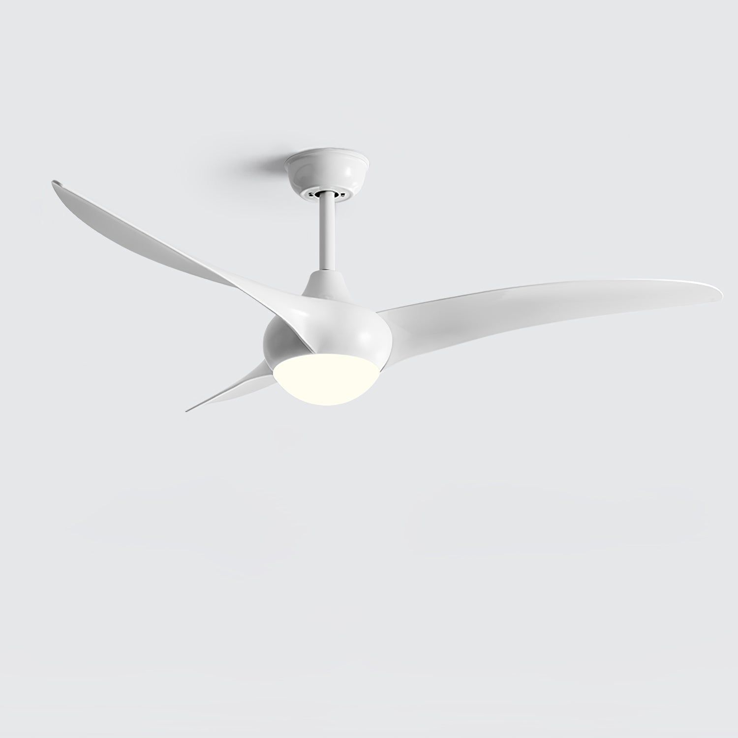 Traditional Flush Mount Light Ceiling Fan