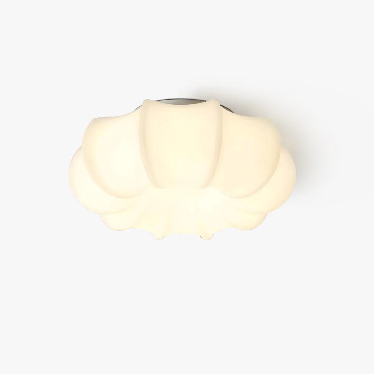 Umbrella Ceiling-mounted Light Ceiling Lamp