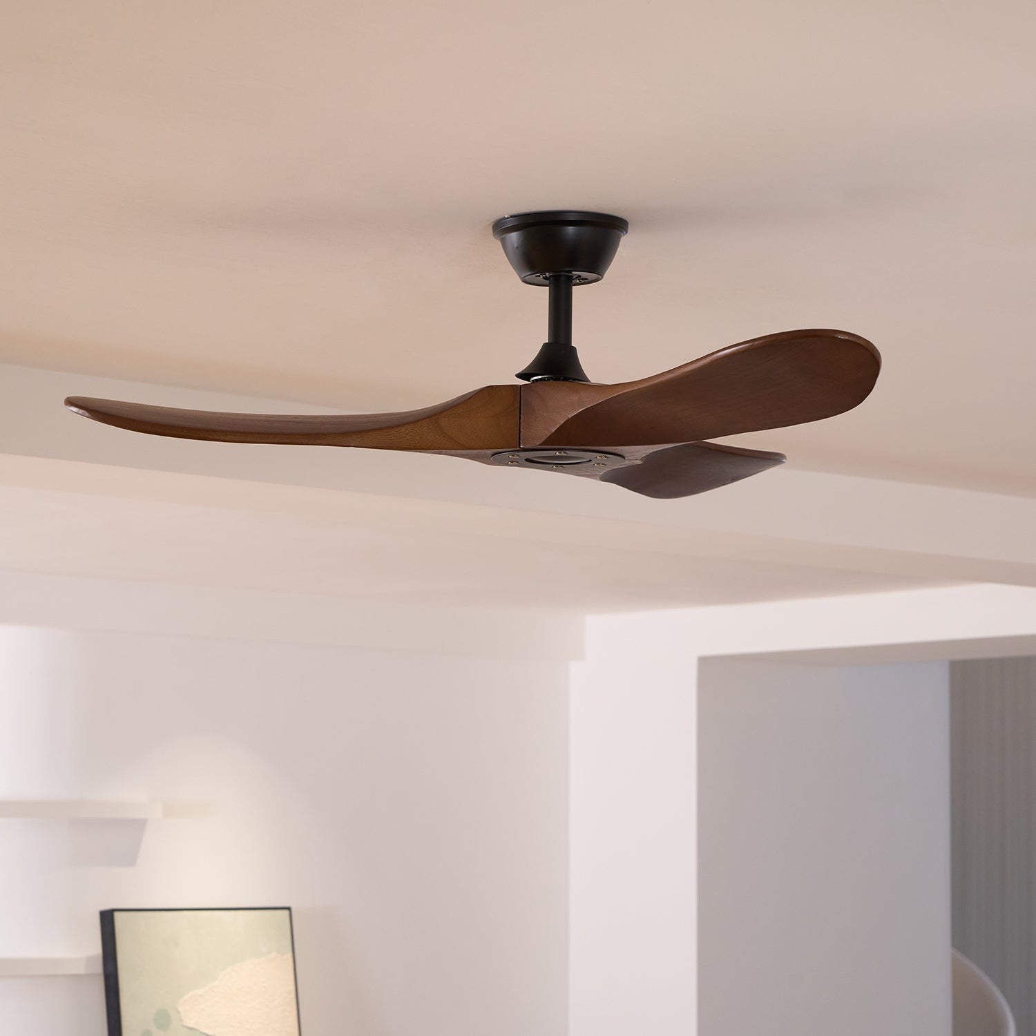 Aero Breeze Ceiling Fan Light