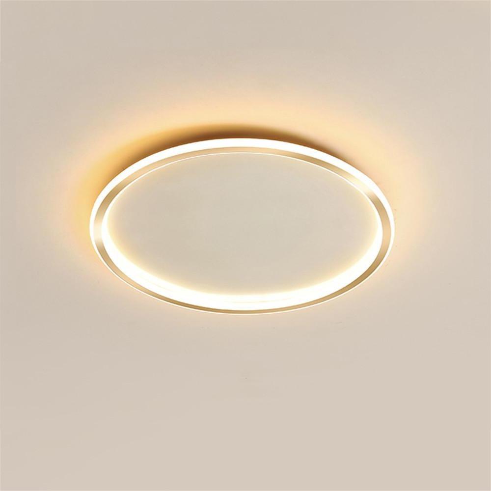 Circular Minimalist Metal Silica Gel LED Flush Mount