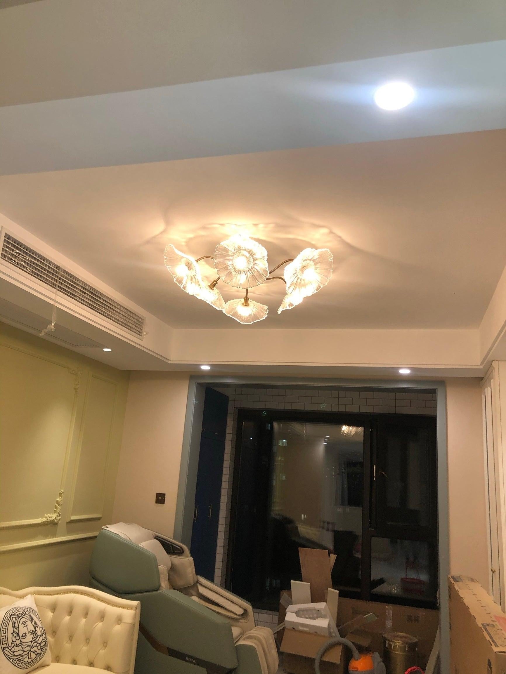 Lotus Frosted Glass Ceiling Light