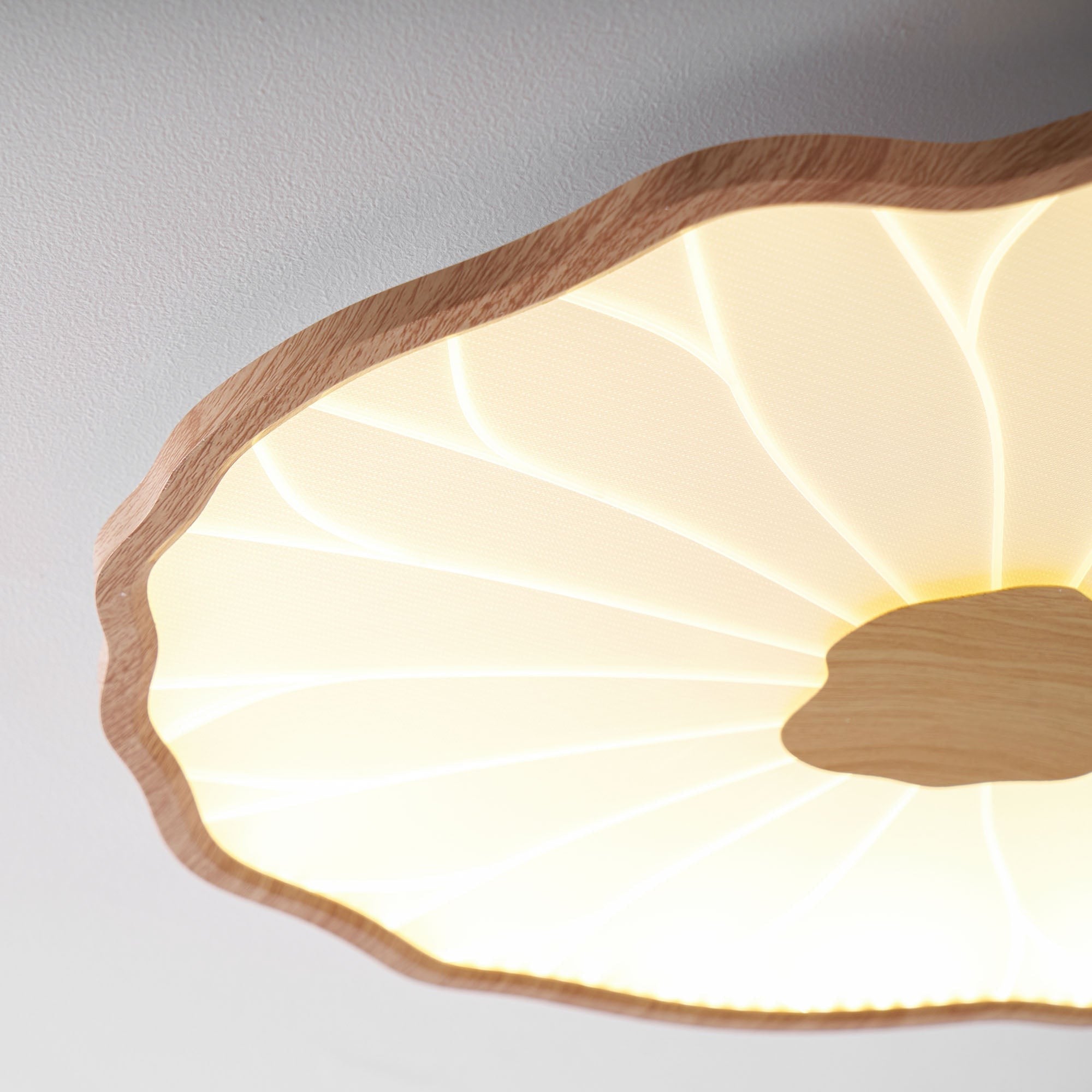 Lotus Leaf Acrylic Ceiling Light
