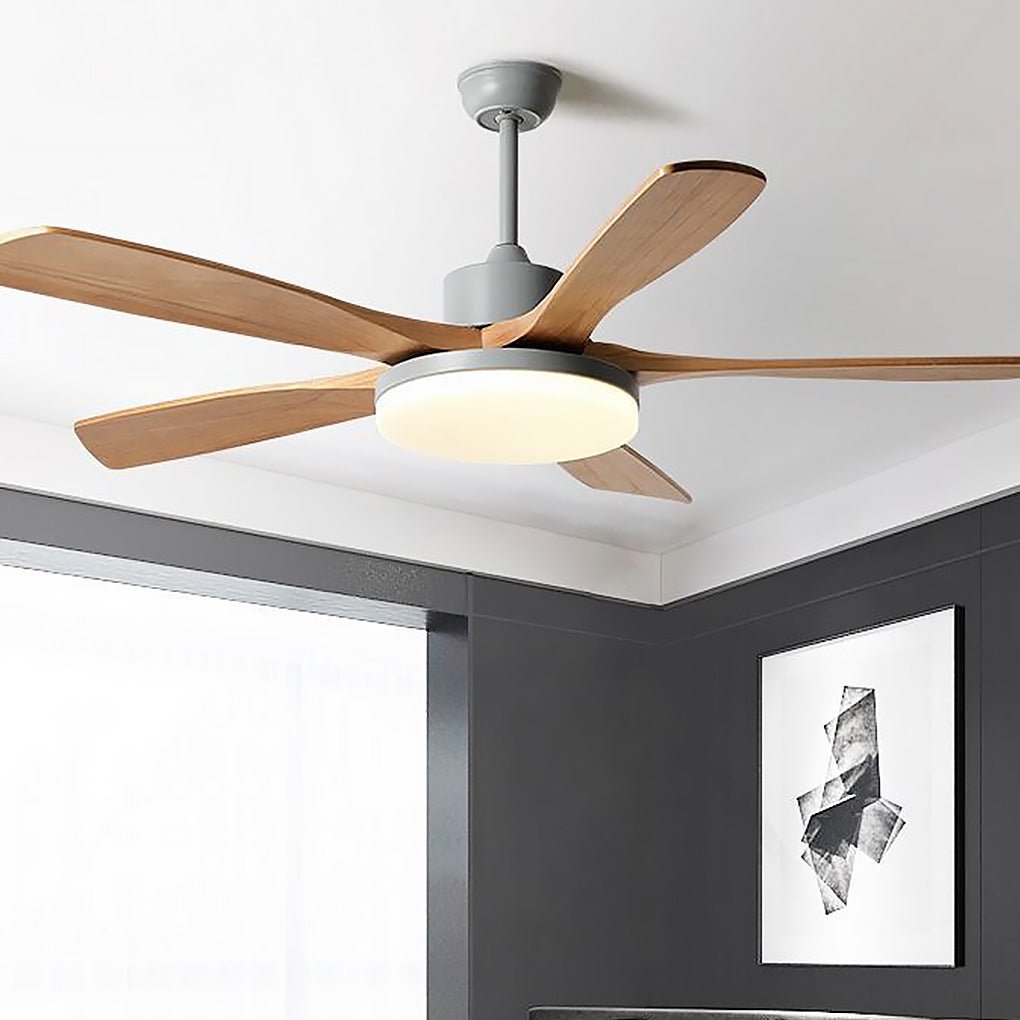 Nordic Frequency Conversion Dimmable Light