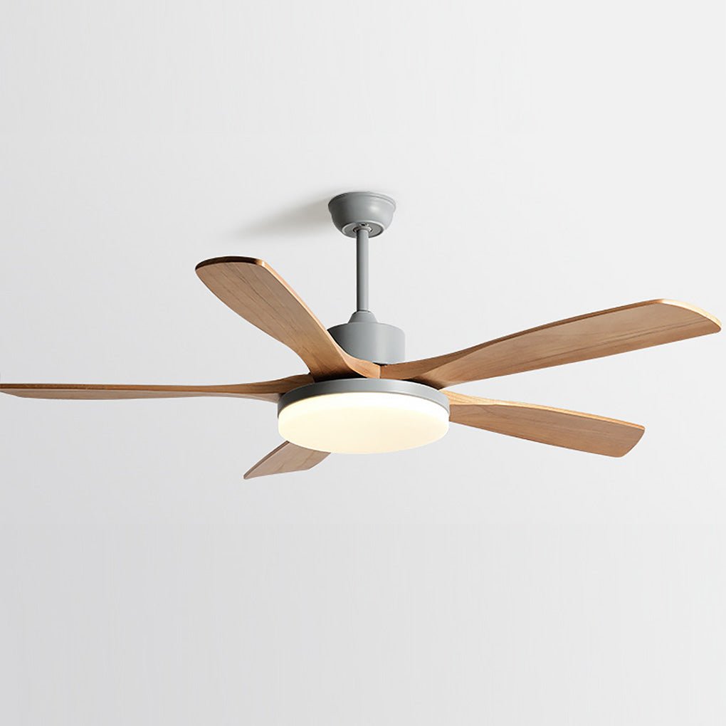 Nordic Frequency Conversion Dimmable Light