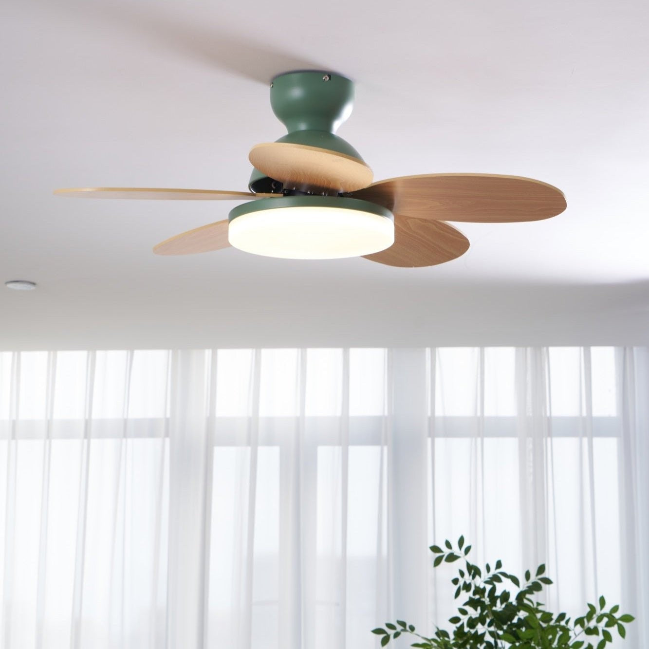 Petalo Wood Blade Ceiling Fan Light