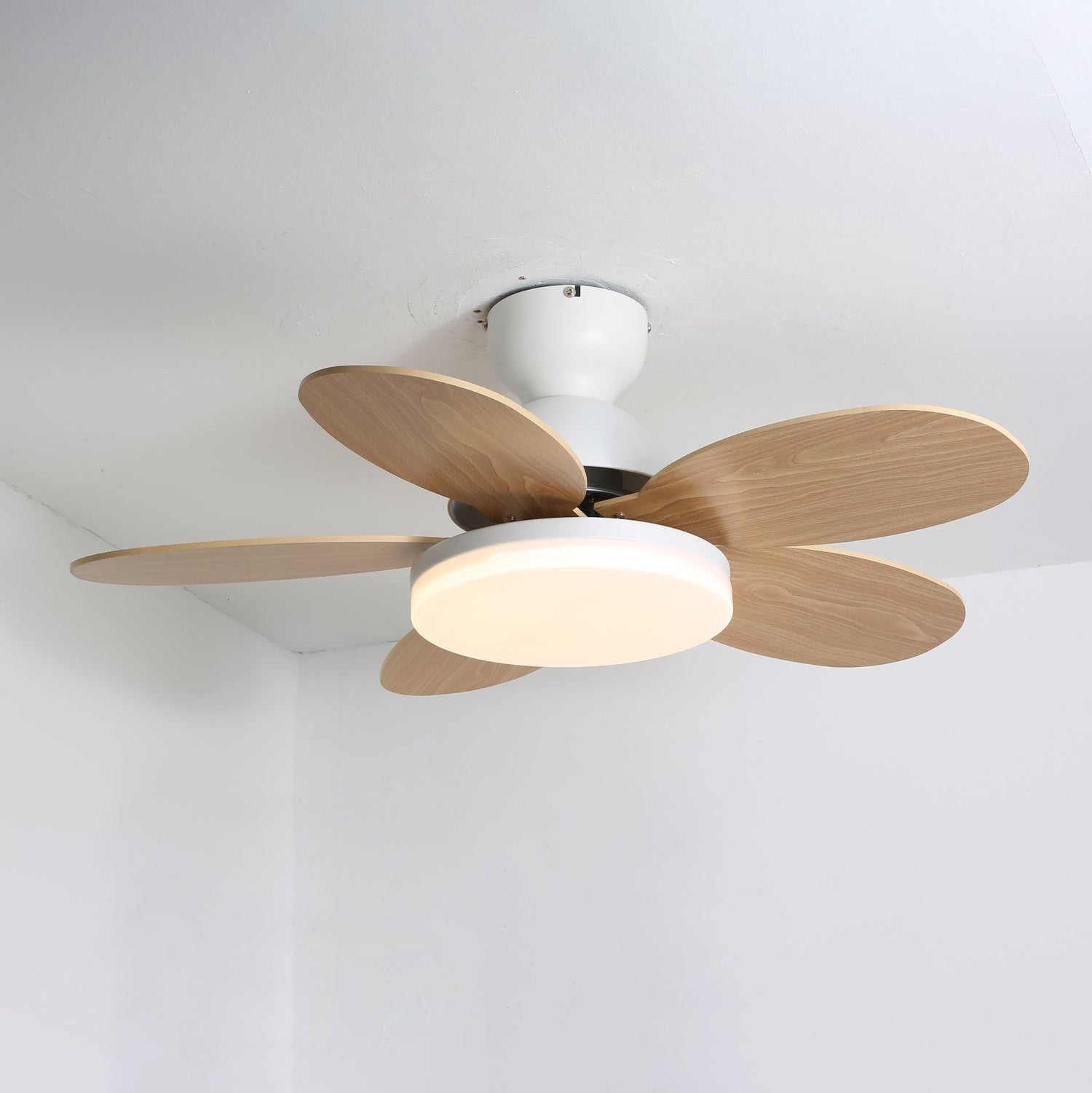 Petalo Wood Blade Ceiling Fan Light