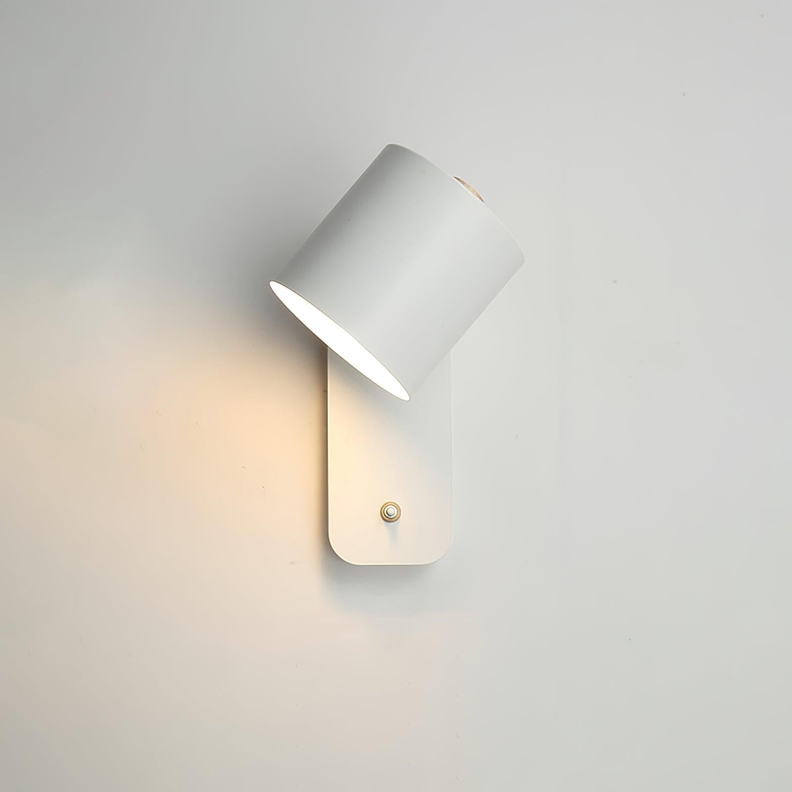 Pivot Cylinder Wall Light