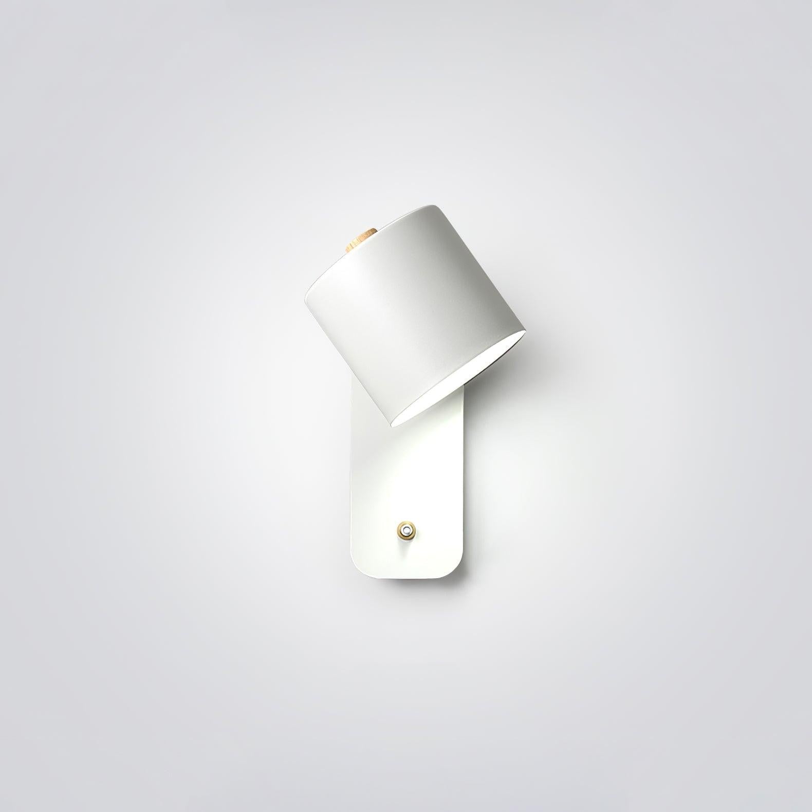 Pivot Cylinder Wall Light