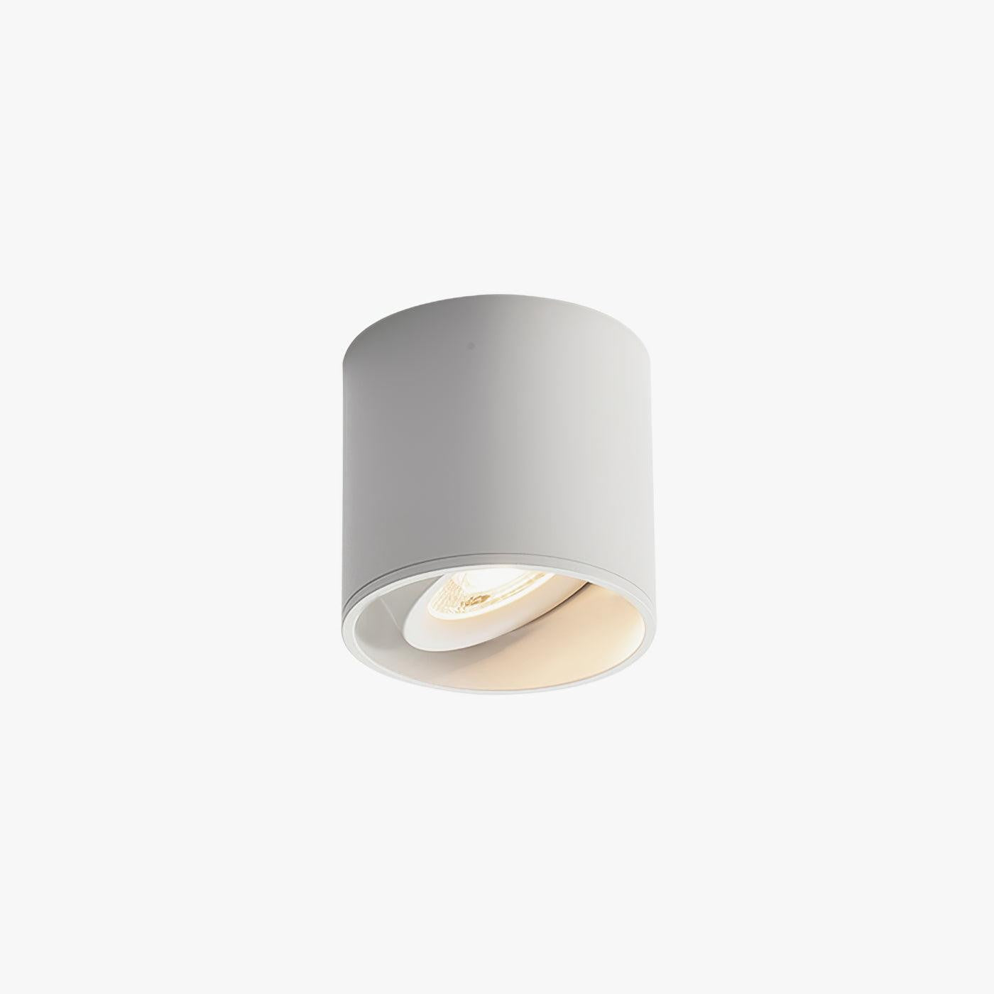 Ridge Edge Flush Ceiling Light