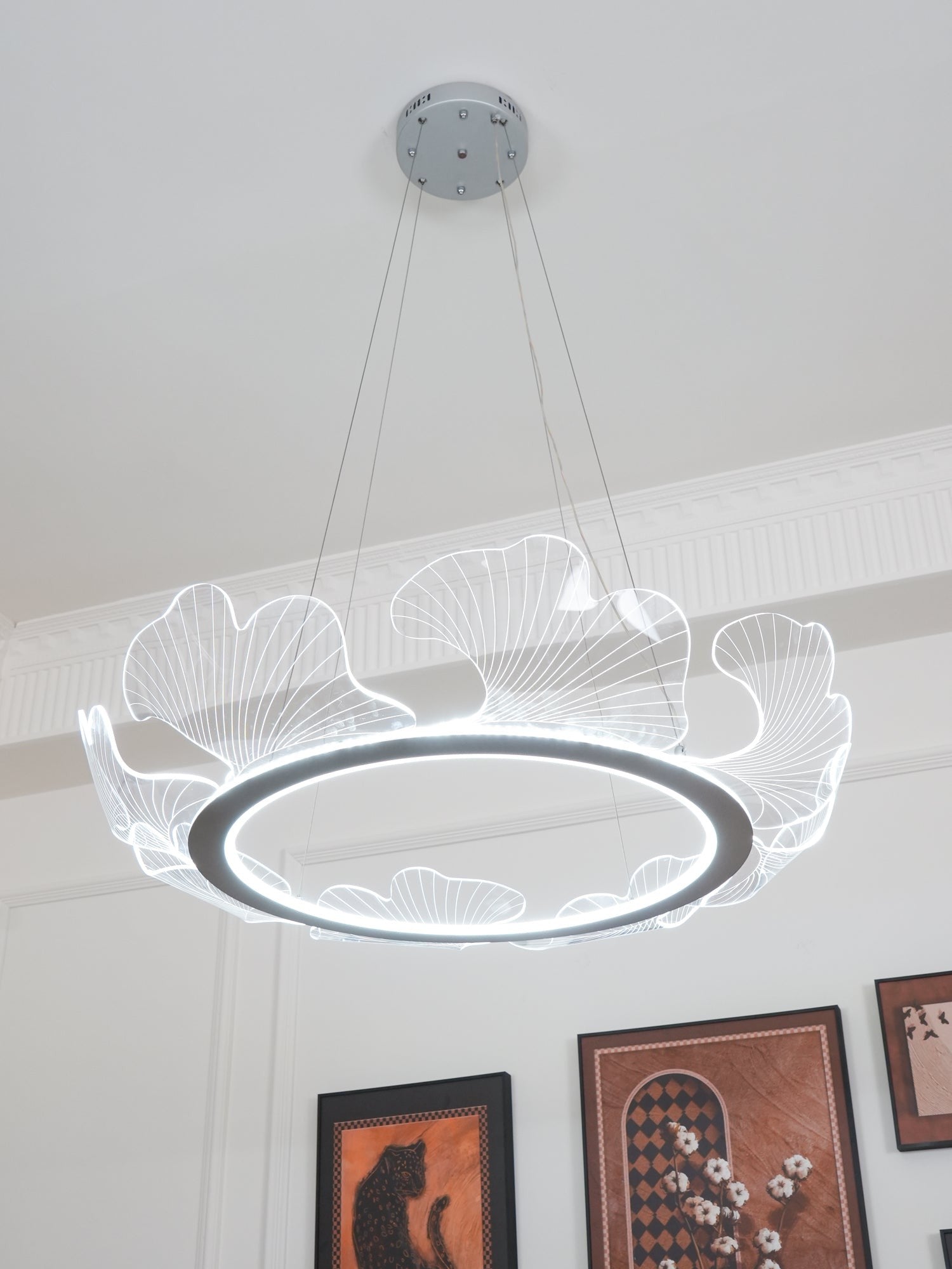 Sea Fan Chandelier