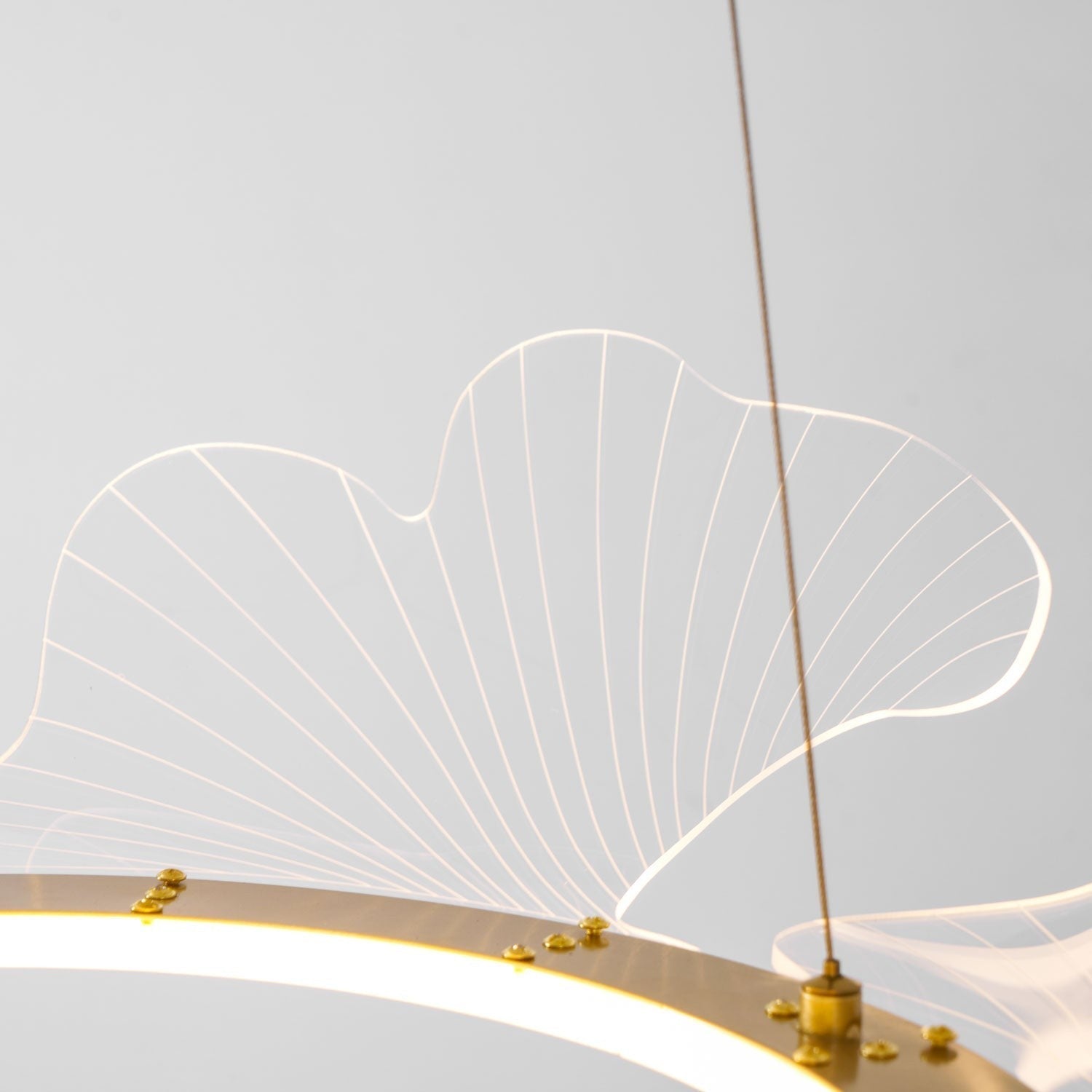 Sea Fan Chandelier