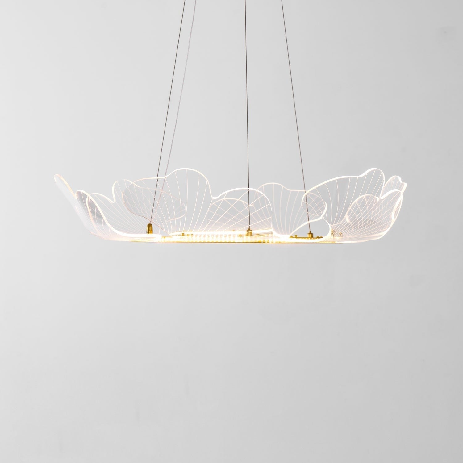 Sea Fan Chandelier