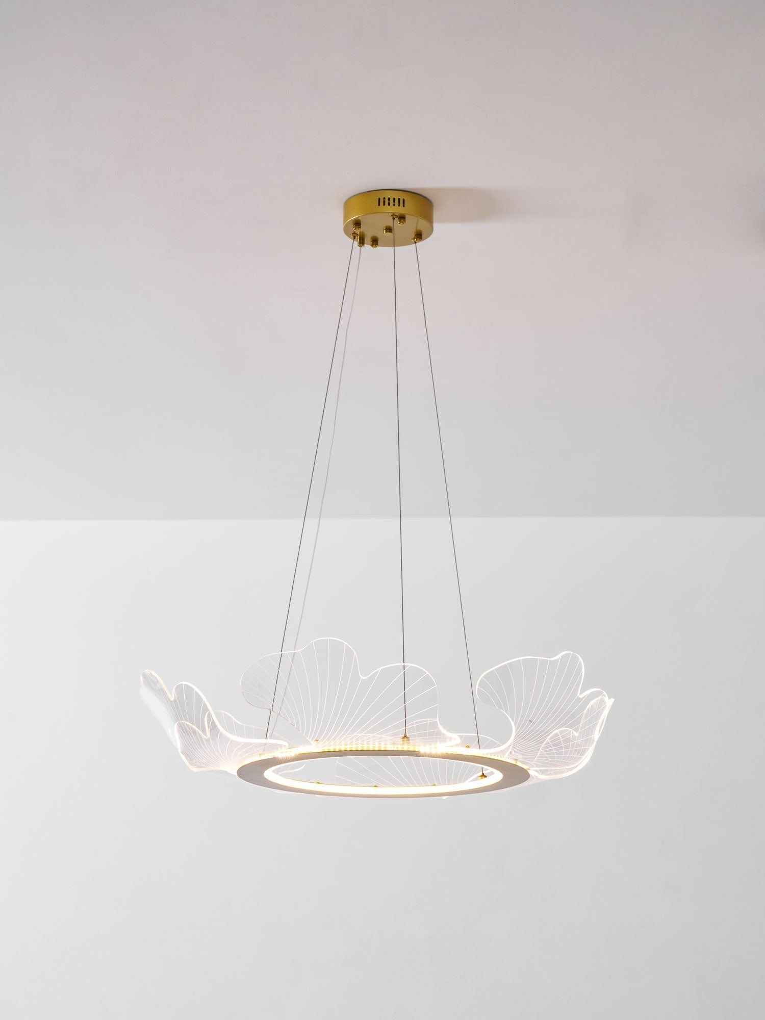 Sea Fan Chandelier