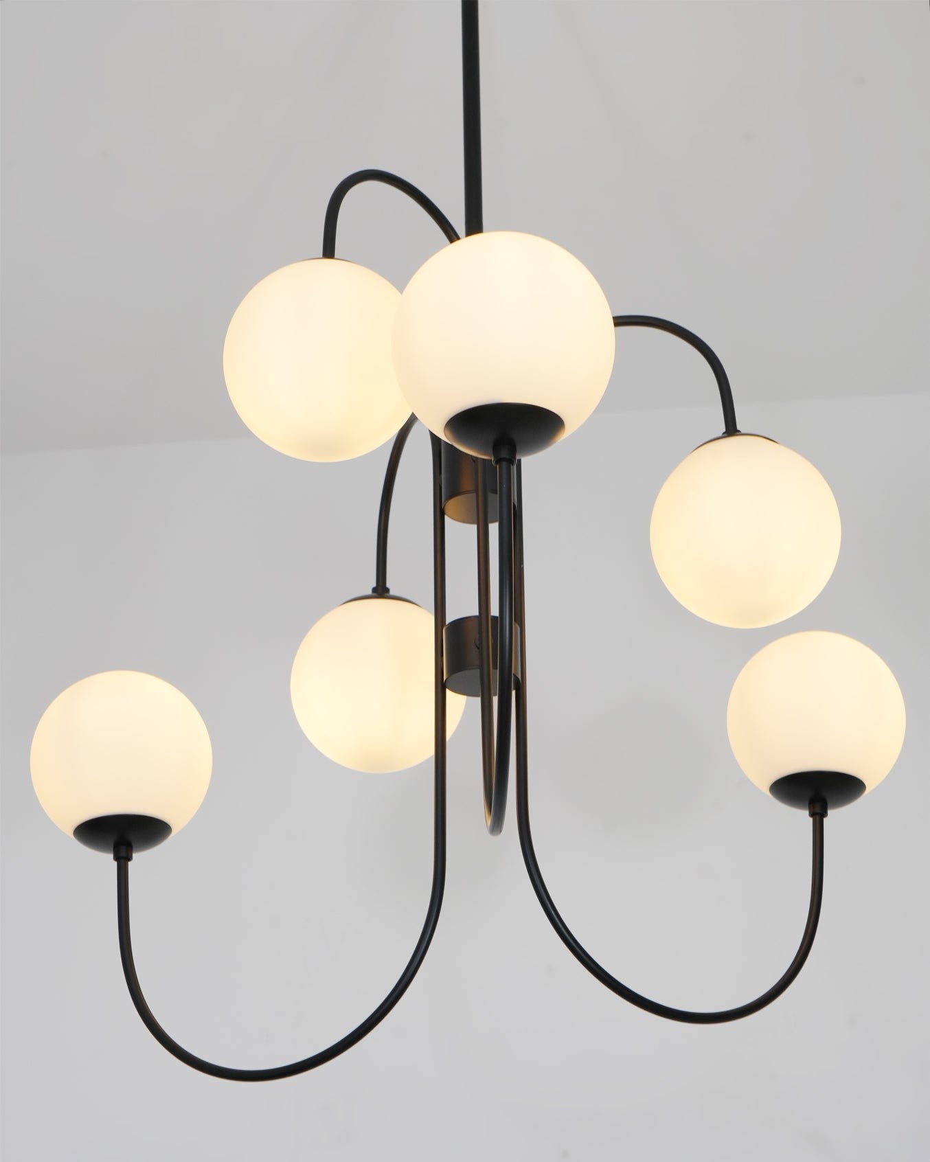 Swan Curve Glass Chandelier