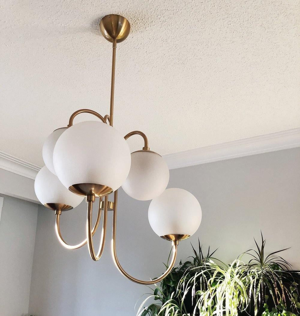 Swan Curve Glass Chandelier
